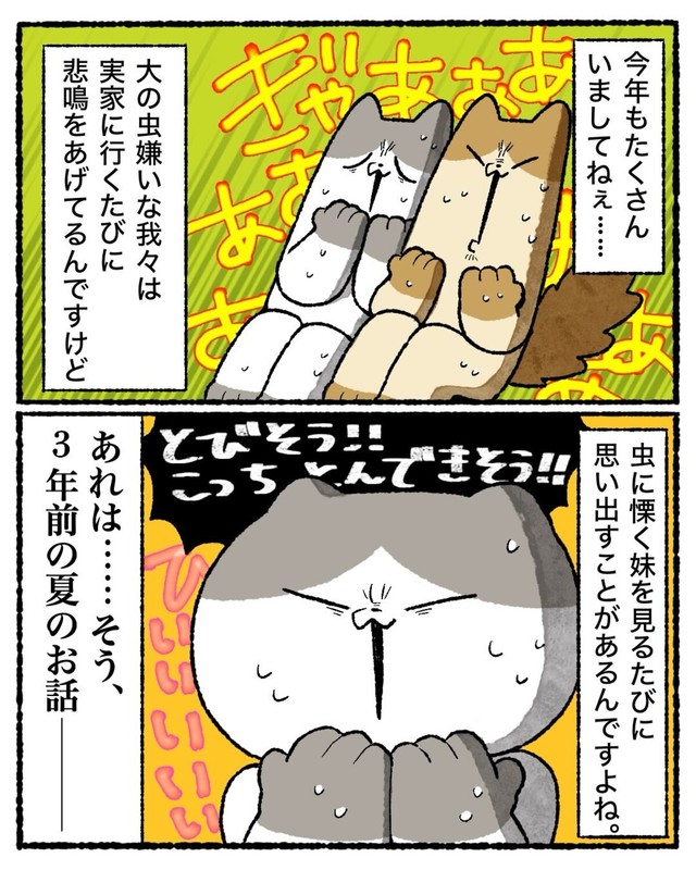 【漫画】『知的好奇心が地獄を引き寄せた話』4（ゆう｜ノープロブレムキャットさん提供）