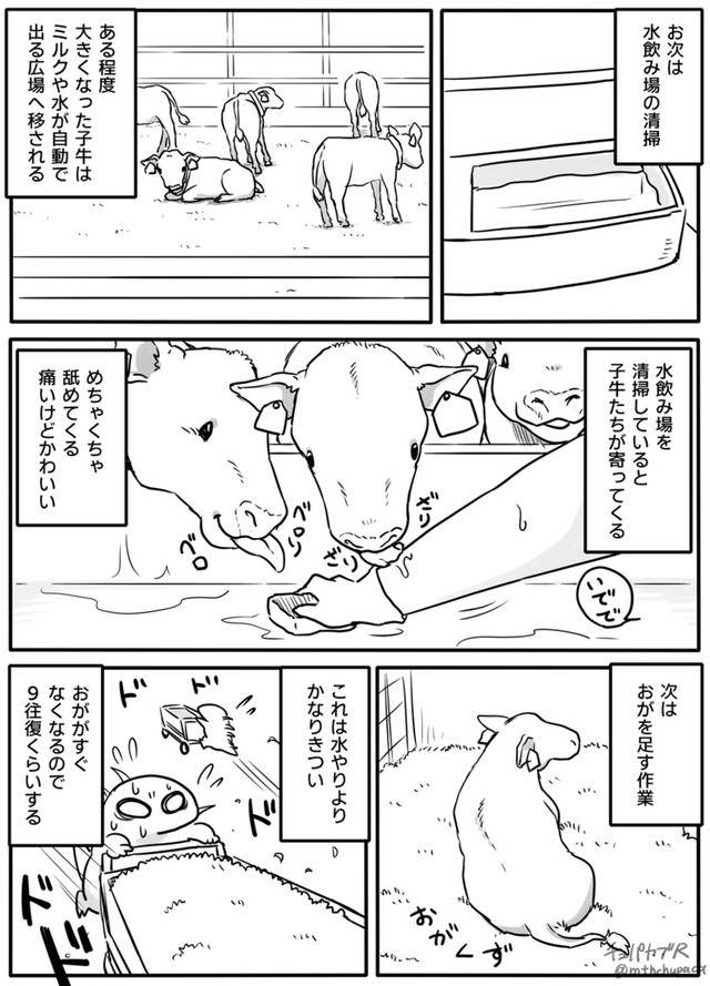 【漫画】『酪農を1ヶ月で辞めた話』4（チュパカブRさん提供）