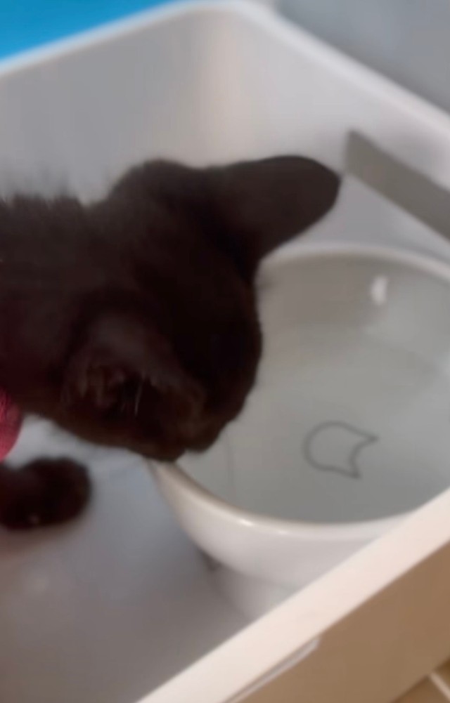 このお水はどうやって飲むの？（投稿よりキャプチャ）