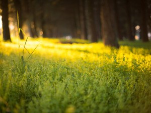 伝わらなければ考えていないと同じ。辞める辞める詐欺とも決別したい