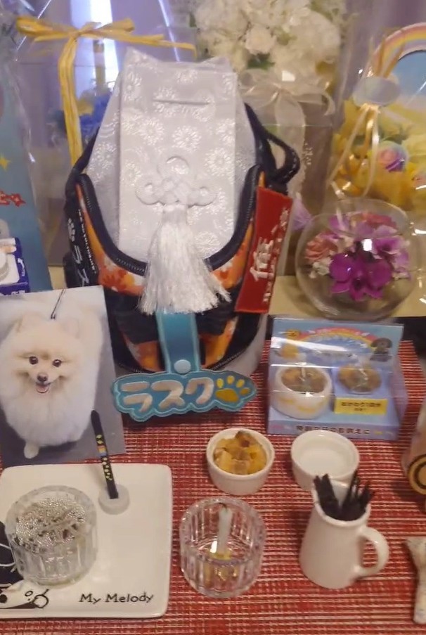 骨となったラスクくん（飼い主さん提供、動画よりキャプチャ撮影）