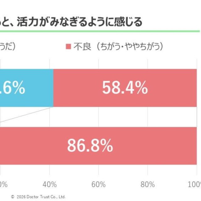仕事をしていると、活力がみなぎるように感じる（提供画像）