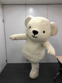 飛行機のポーズを取るおちゃめな「ベア・ドゥ」（AIRDO提供）