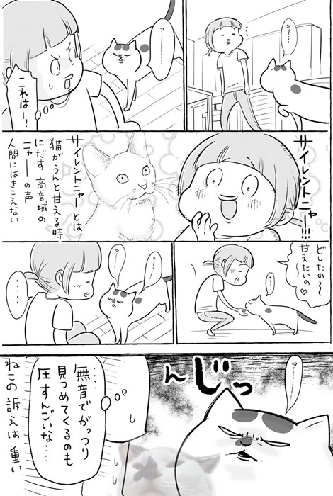 漫画「犬と猫どっちも飼ってると、必死のうったえが毎日たのしい」（提供：松本ひで吉さん）