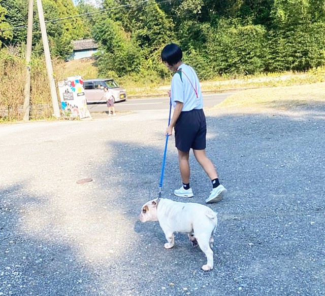 「なかなかテンションが上がらないワン」