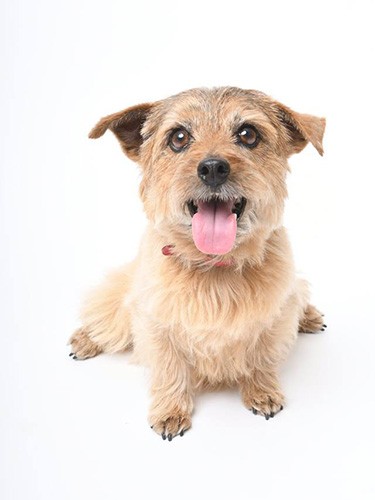 ハナママさんの投稿写真。みなさんの投稿の中で、一番よく出てくる言葉は「ありがとう」だと思います。