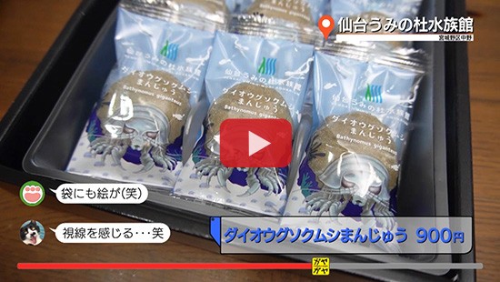 #50うみの杜水族館③