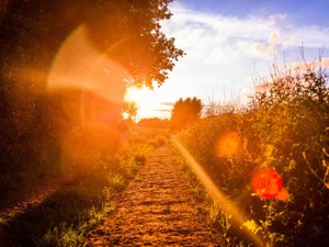 葛藤を抱えたまま看護師になった。それでもいつしか天職と思えるほどに