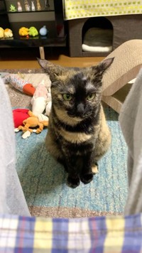 決して怒っているわけではありません