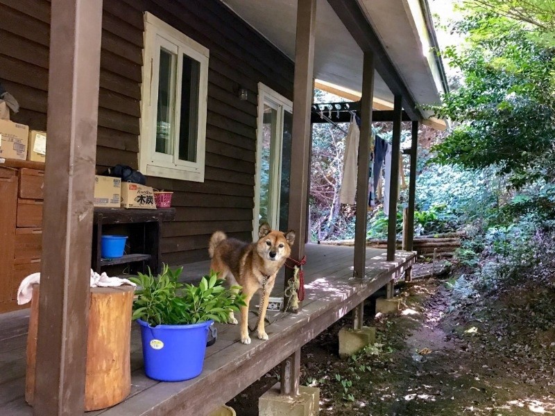 彼らとの絆は永遠…（後藤郁さん提供）