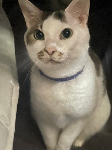 今や家族はもちろん、ご近所中のアイドルに