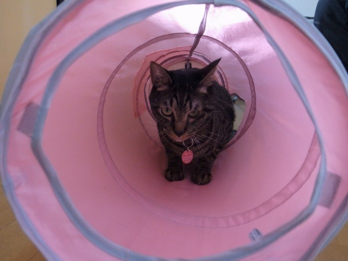 トンネル、大好きなんだ