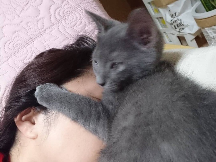 ママの顔の上で寝るの