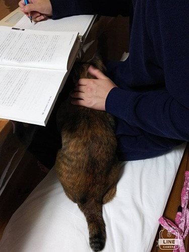 資格試験中の長男を励まし中（由美さん提供）