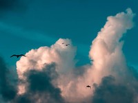 フィリピンの空港で反射的にした「良い行い」。私が日本人だから？