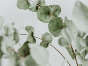 アトピーで敏感な私の肌は、やさしいメイクと上手く付き合っている