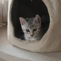 1歳くらいのとき