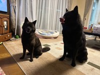 ひい君とゆうちゃんとのツーショット（提供：愛さん）