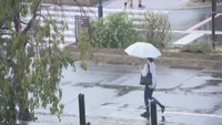 岡山市北区　14日午後4時半ごろ