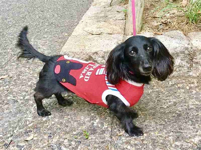 お散歩って楽しいね