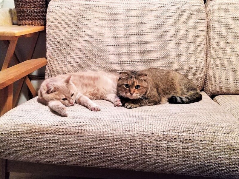 すっかり仲良しになったよ！（雪美さん提供）