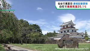 宮城・白石で猛暑日　高温と水不足が葉物野菜や果物に影響