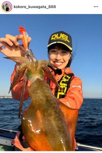 くわがた心インスタグラム＠kokoro_kuwagata_888より