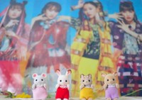 家にも「ももクロ」と「シルバニア」のグッズがズラリ ※comociaさん提供