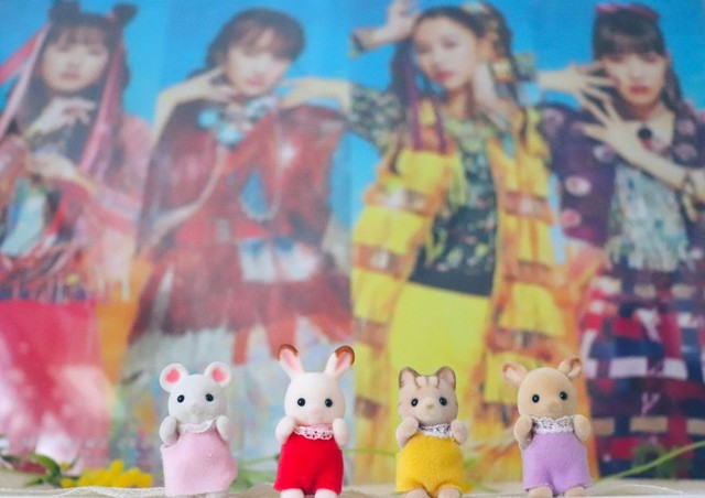 家にも「ももクロ」と「シルバニア」のグッズがズラリ ※comociaさん提供