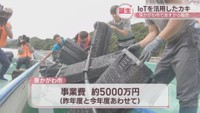 IoT活用して養殖したカキの販売スタート