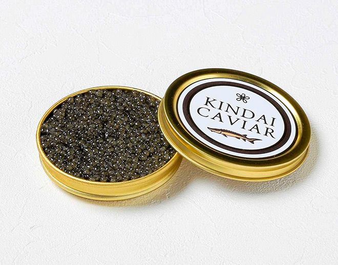 Japan team gets male sturgeon to switch sex, make roe for caviar