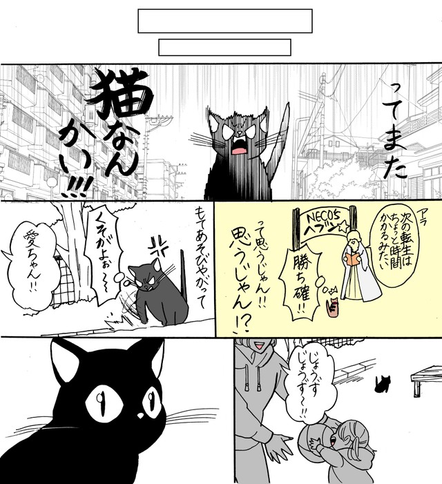 【漫画】『人間になりたかった猫』5　(C)森永ミク