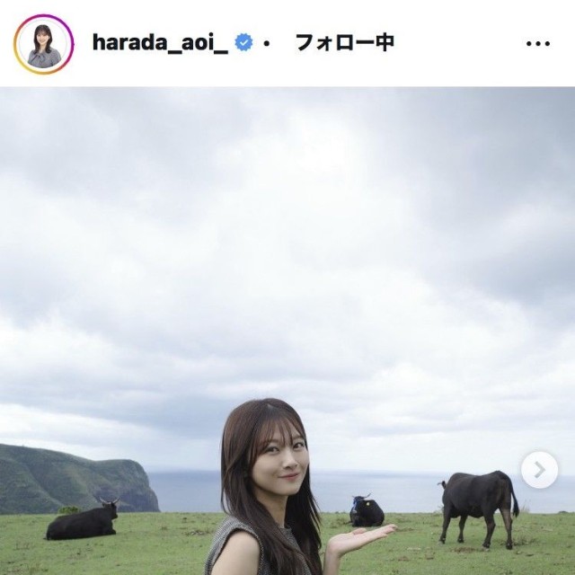 原田葵アナウンサーのインスタグラム＠harada_aoi_
より