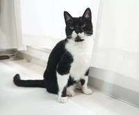 白と黒の量感がちょうどいい感じ=uni_hiji_konaさん提供