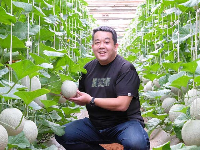 アリの目線で働いてこそ分かること メロンを通して実感する成長 朝日新聞globe