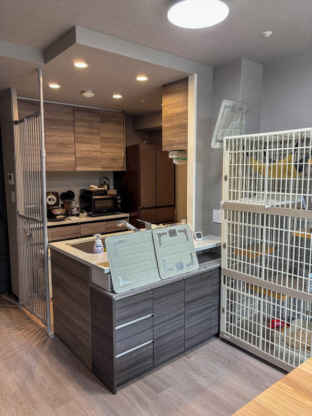 【ビフォー写真】「猫が入れないキッチンにしたい」と初めて猫を迎えるご夫妻からの依頼があった（「ねこ大家」さん提供）