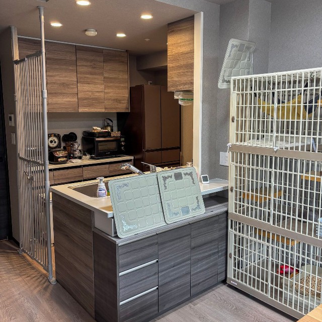 【ビフォー写真】「猫が入れないキッチンにしたい」と初めて猫を迎えるご夫妻からの依頼があった（「ねこ大家」さん提供）