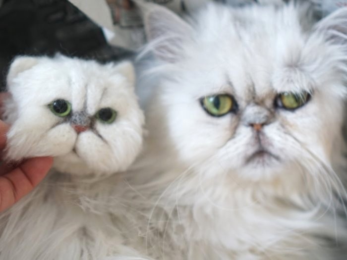 左はボランティアさんから送られたそっくりな人形（なこちゃんは寝起きで寝癖……）