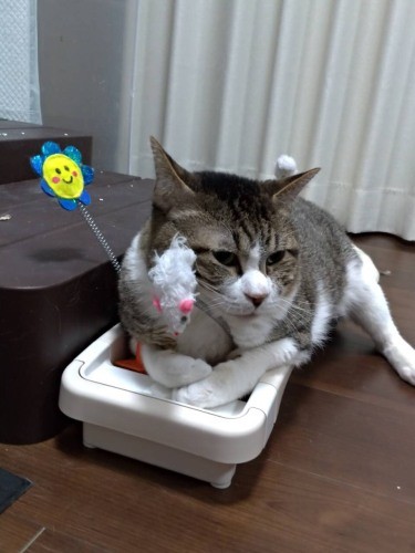 「はいこれ俺の。ギュー」（かおりさん提供）