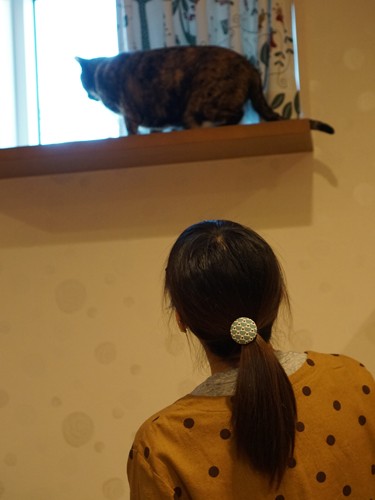 「眺めはどう？」