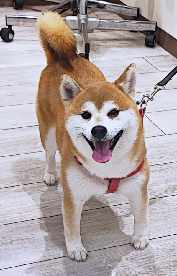 満面の笑みを浮かべる涼夏ちゃん（画像提供：Kさん）