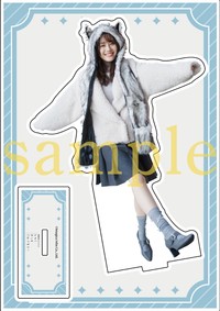 伊藤美来さんフォトブック『みっくぶっくらいぶらりー』ゲーマーズ限定版おおかみっくあくすた