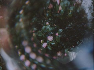 春風のような「I love you」。異国の地で美しい目のその人に出会った