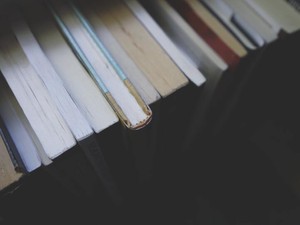 1日で書き上げた142,379文字。「不如帰」で覚醒した隠れた才能