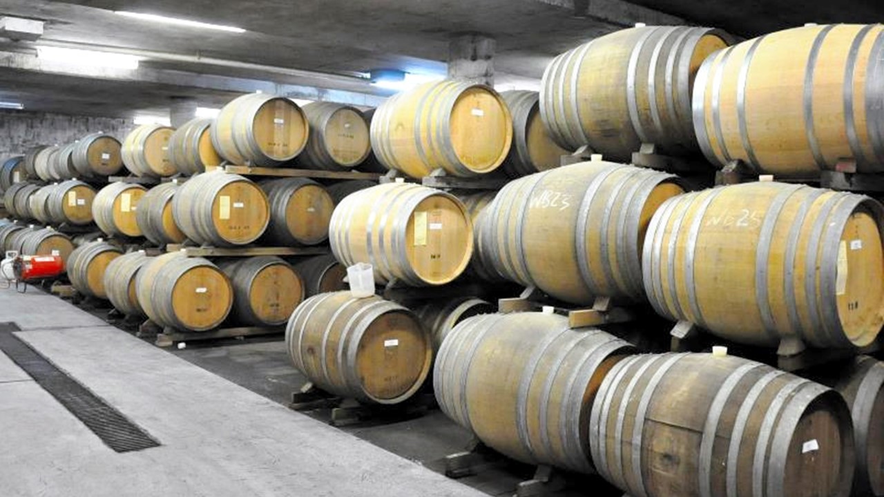 ワイン産地に変化 伝統国から「新・新世界」へ、インドやタイ…味や品質も向上:朝日新聞GLOBE+