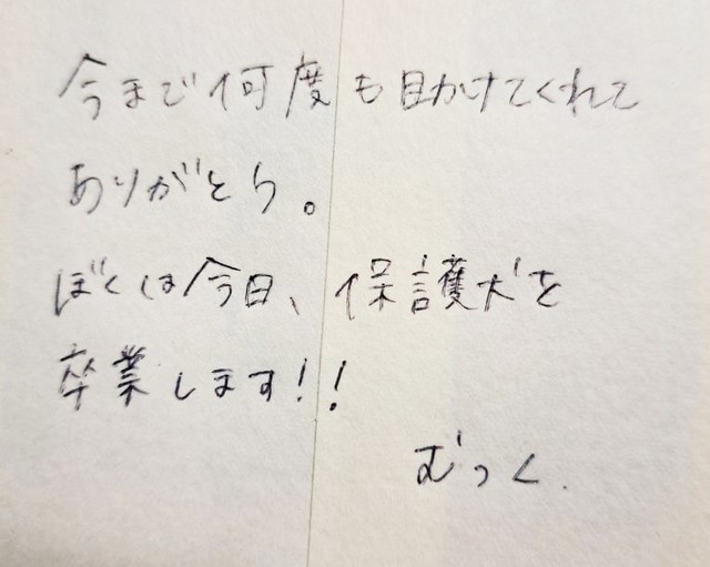むっくの気持ちを代弁し、団体側にTさんが渡した手紙