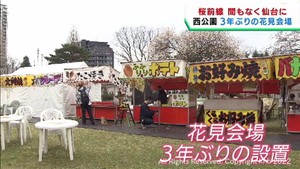仙台市の桜の名所西公園　３年ぶりにライトアップ　花見会場の準備が進む