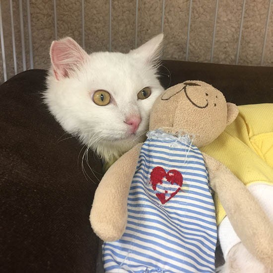 病院のスタッフさんが「寂しくないように」とプレゼントしてくれたぬいぐるみと一緒に