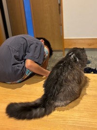 最後は玄関で過ごすことが多くなった。