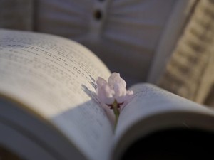 おじいちゃんは寂しかったんだね。「大人の事情」に敏感だったあの頃